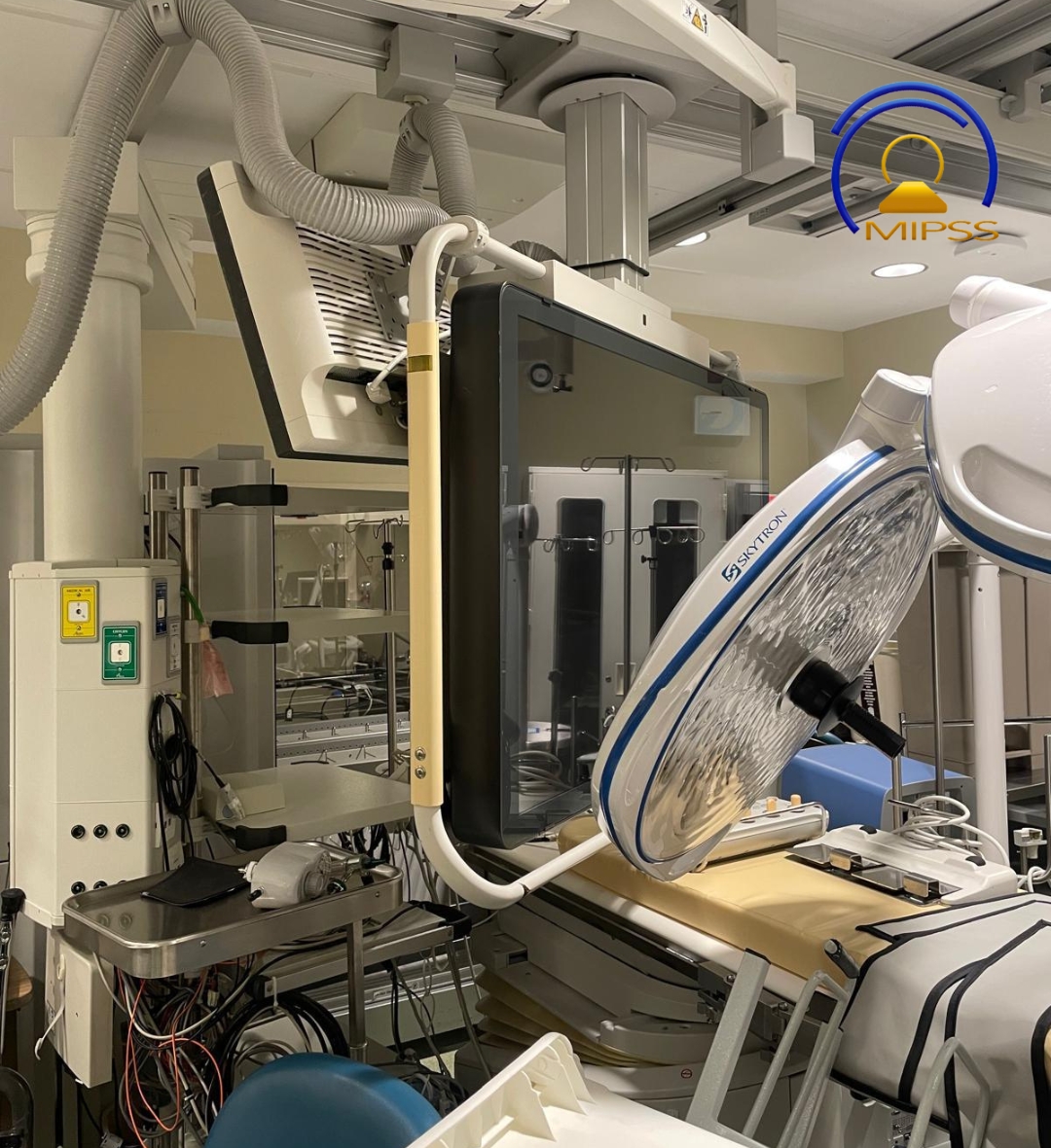 2014 PHILIPS FD 10/10 Cath Lab